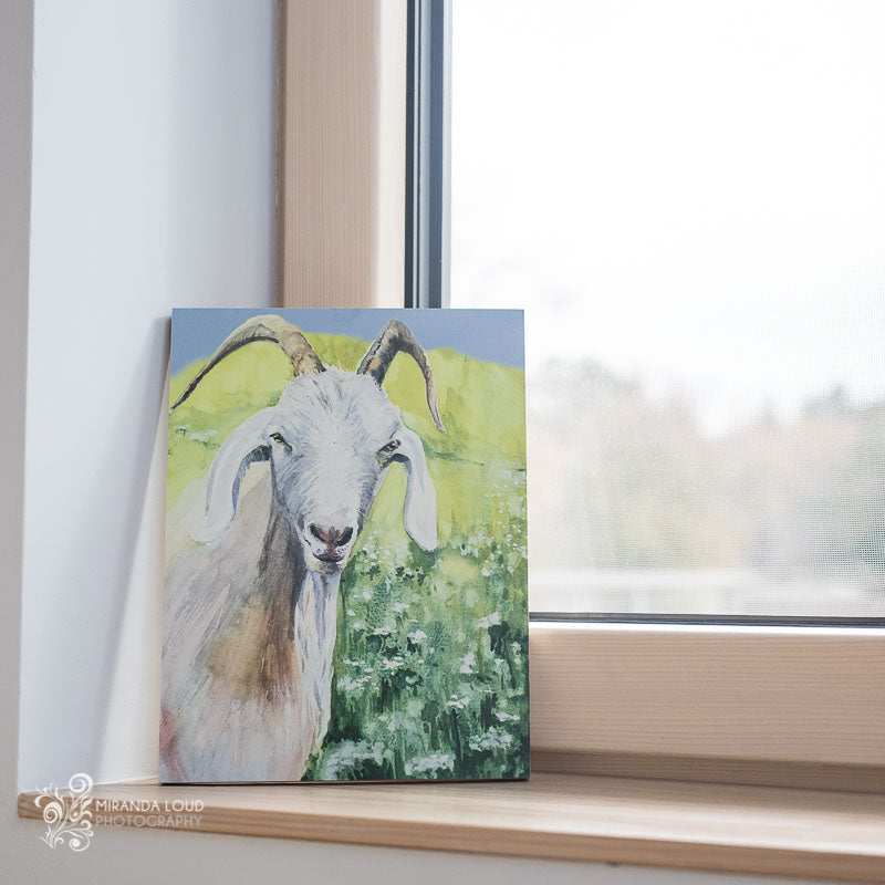 Goat (Jasmine) Wood Print Ready to Hang 11x14