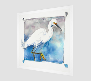 Snowy Egret (Charlie)