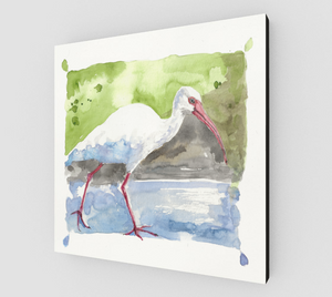 White Ibis Gallery Wrapped Canvas