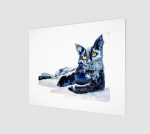 Black Cat Beauty 8x10