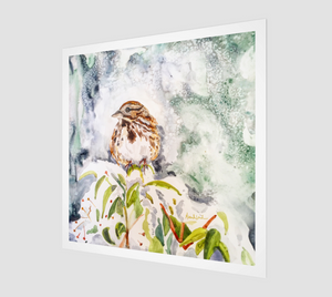 Song Sparrow in the Snow (open edition)