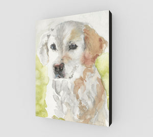 Sammy Gallery Wrapped Canvas