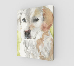 Sammy Gallery Wrapped Canvas