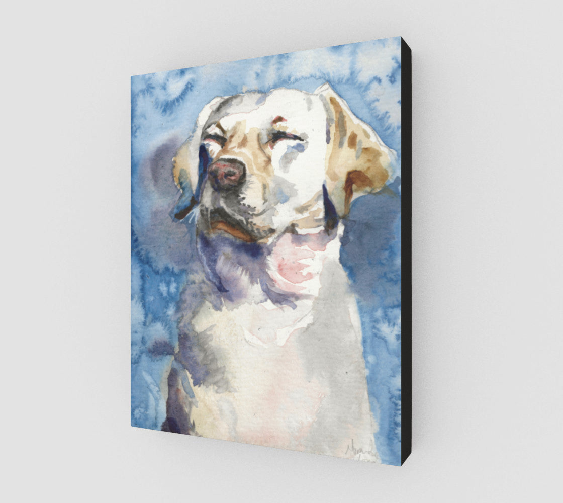 Dog Dreams 11x14  gallery wrapped canvas