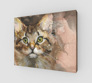 Pamina Gallery Wrapped Canvas