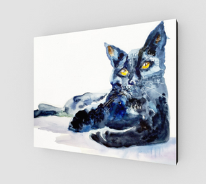 Black Cat Beauty 20x16 Gallery Wrapped Canvas